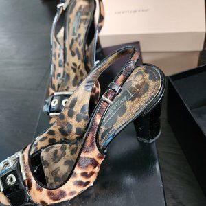 Dolce & Gabbana Leopard Spuntata Pony St. Leo Heels